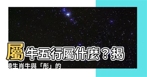 2024五行屬什麼|【2024 五行屬什麼】2024五行的秘密揭曉！龍年運勢大解析